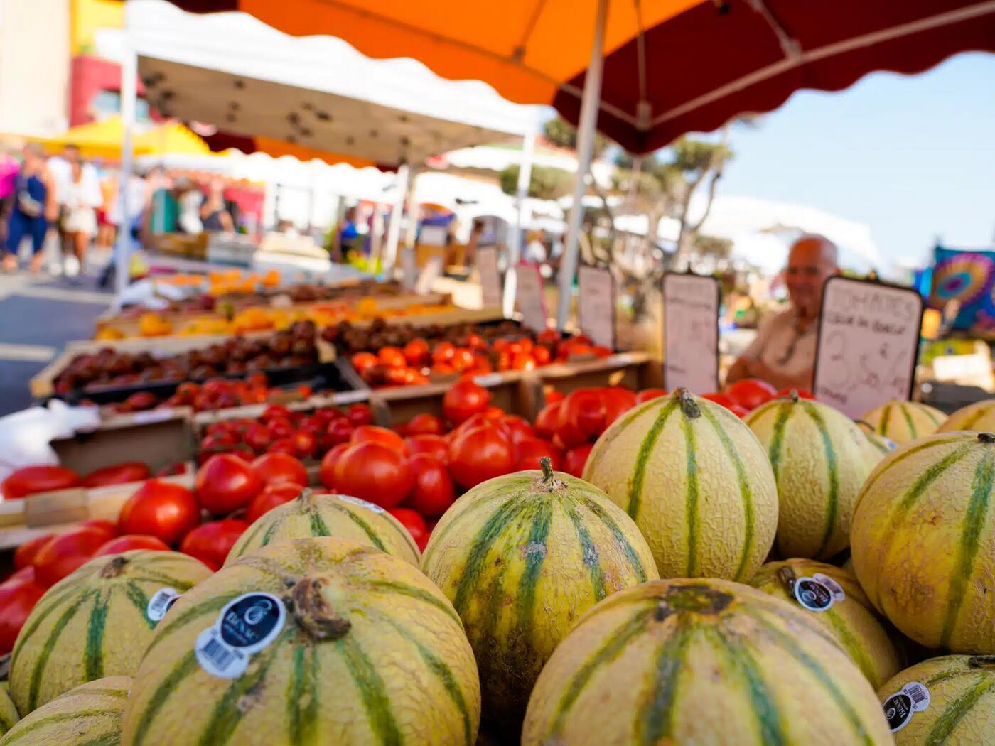 Étals de melons et tomates