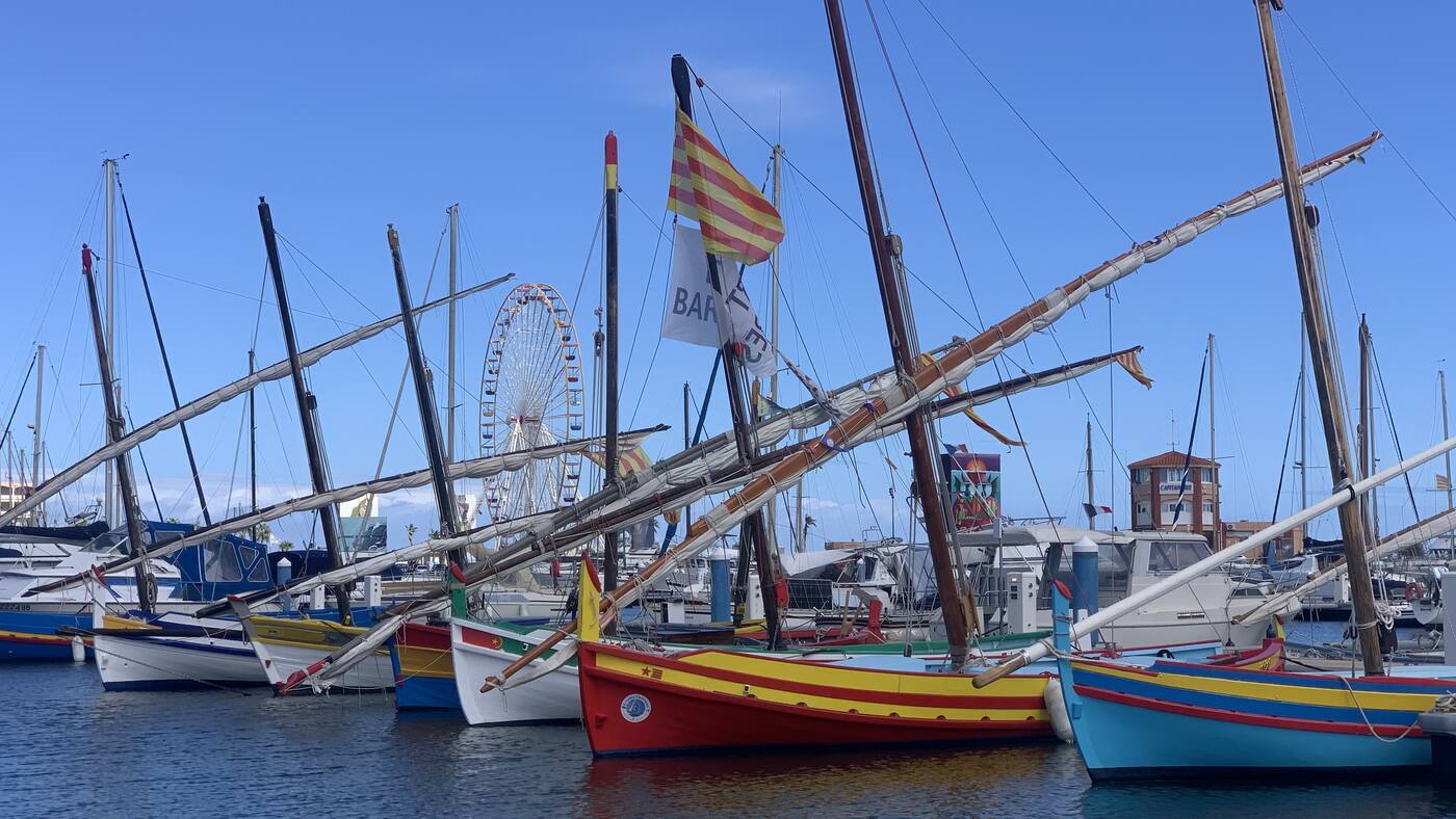 Barques catalanes amarrées au port du Barcarès